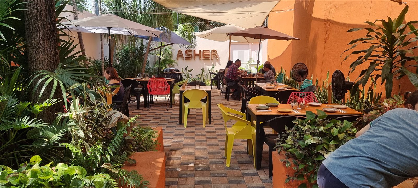 Terraza